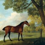 Stubbs, George, 1724-1806; Bay Hunter by a Lake