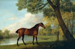 Stubbs, George, 1724-1806; Bay Hunter by a Lake